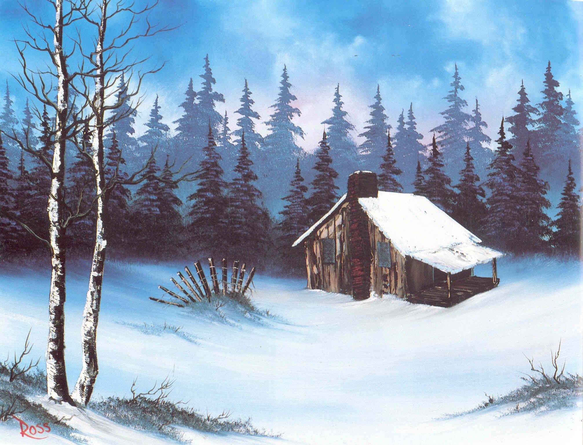 Amazon.co.jp: BOB ROSS INC. R011 ボブ・ロス ボブの絵画教室 11巻